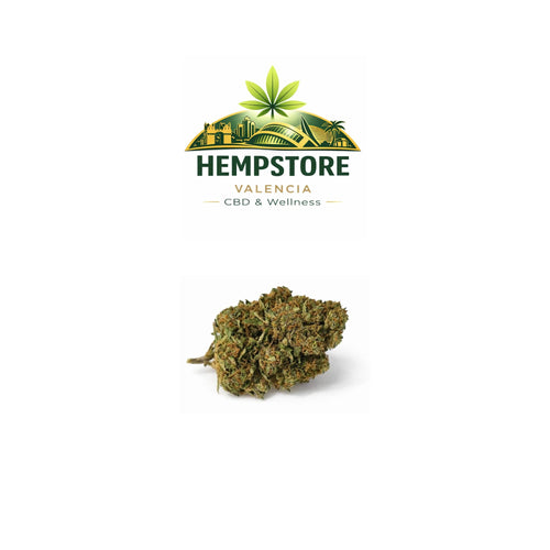 Cherry Limonade CBD Invernadero Premium – Flor CBD Valencia | Hemp Store Valencia CBD