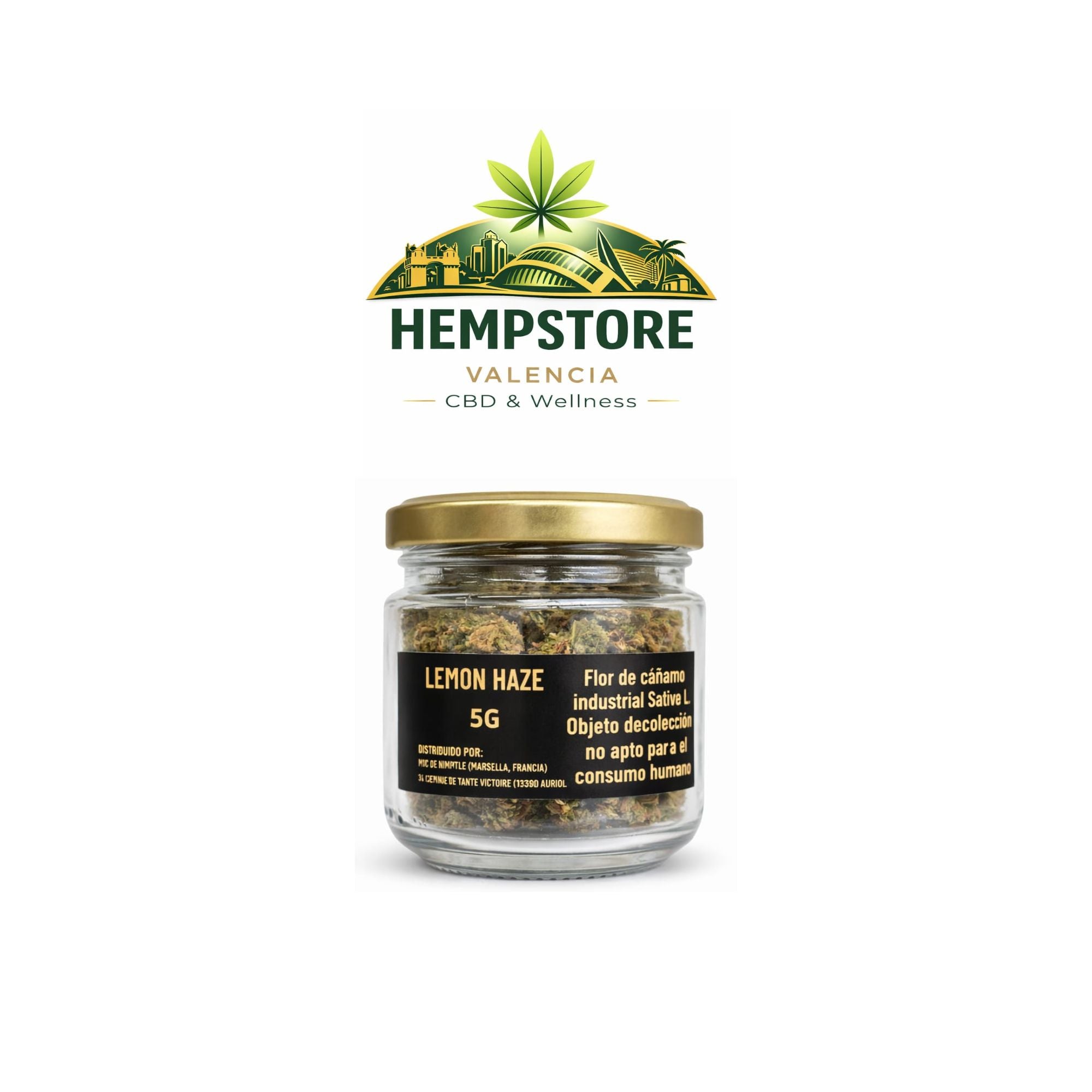 Lemon Haze CBD Invernadero Premium – Flor CBD Valencia | Hemp Store Valencia CBD